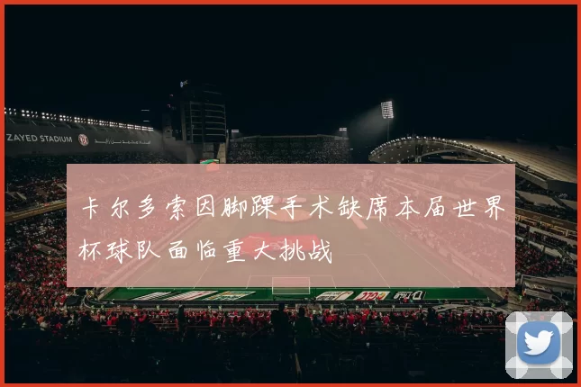 卡尔多索因脚踝手术缺席本届世界杯球队面临重大挑战