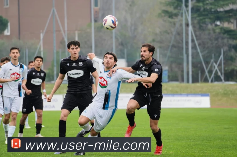 米乐体育APP 体育赛事宣传图